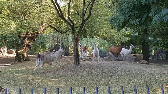 parco zoologico di Varsovie